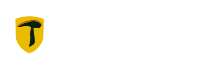 四川畅安穿山甲